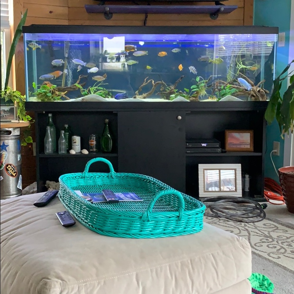 Meet your Posher, James